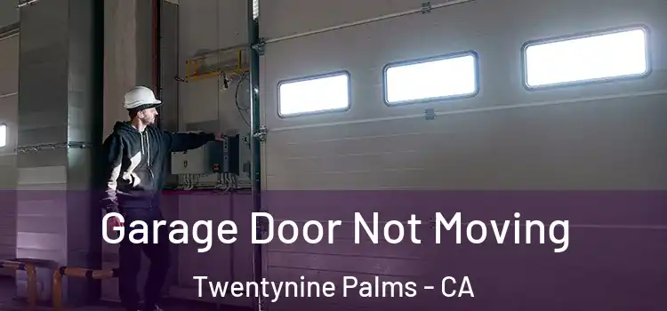  Garage Door Not Moving Twentynine Palms - CA