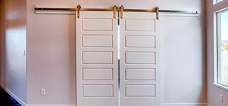 Glass Barn Door with Installation Hardware Kit Twentynine Palms