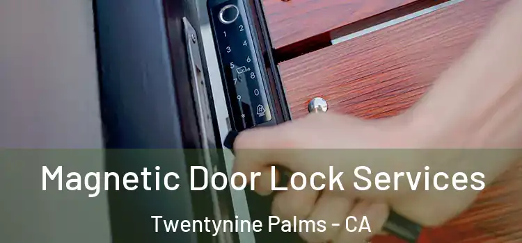 Magnetic Door Lock Services Twentynine Palms - CA